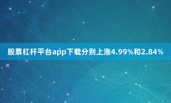 股票杠杆平台app下载分别上涨4.99%和2.84%