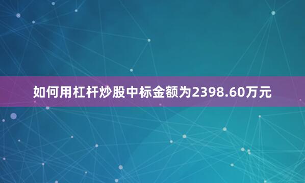 如何用杠杆炒股中标金额为2398.60万元