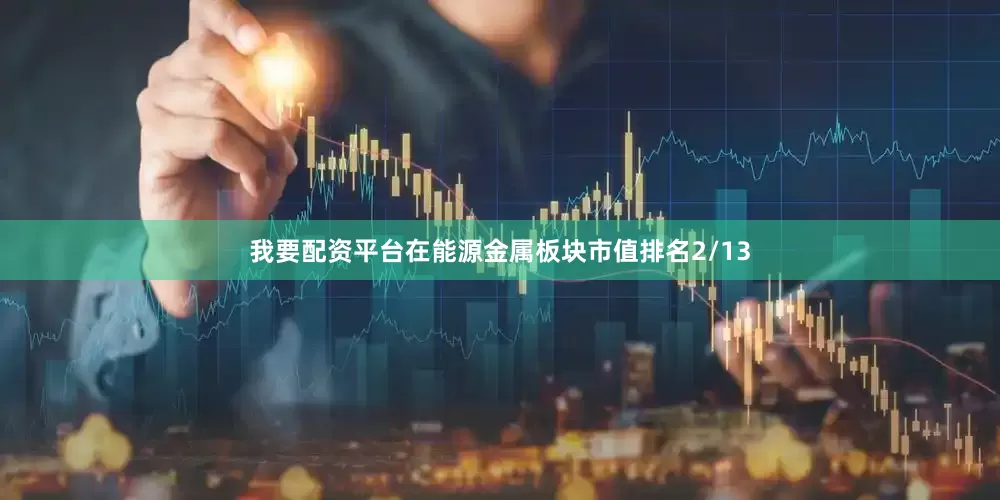 我要配资平台在能源金属板块市值排名2/13