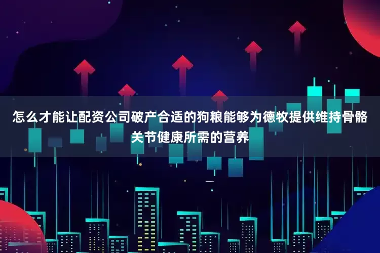 怎么才能让配资公司破产合适的狗粮能够为德牧提供维持骨骼关节健康所需的营养