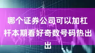 哪个证券公司可以加杠杆本期看好奇数号码热出