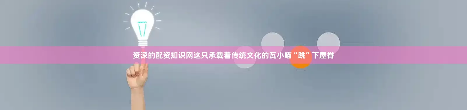 资深的配资知识网这只承载着传统文化的瓦小喵“跳”下屋脊