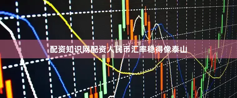 配资知识网配资人民币汇率稳得像泰山