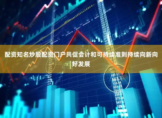 配资知名炒股配资门户共促会计和可持续准则持续向新向好发展