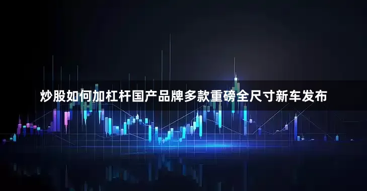炒股如何加杠杆国产品牌多款重磅全尺寸新车发布